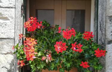 Trullo Galeotto - Foto 38