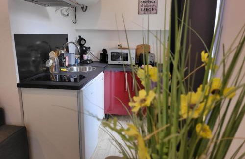 Résidence le 09 - Foto 42