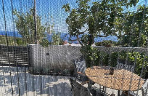 Loza Blue, Premuda island - Foto 13