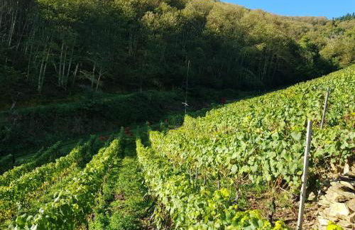 La Cabana´l Cachican - Foto 43