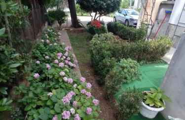 Apartmani Gaga - Foto 12