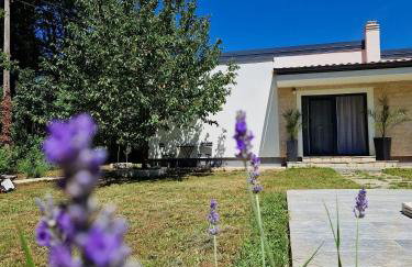 Villa DE Luna Istra,whirlpool - Foto 33