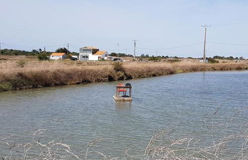 Finn Lodge - Foto 13