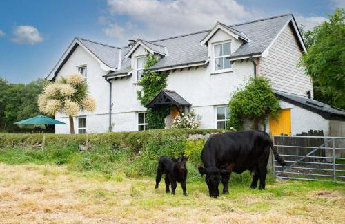 Perthi-Uchaf - Foto 1