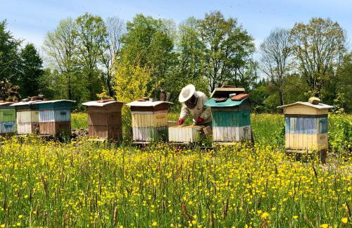 Sianki nad Sanem - Foto 4