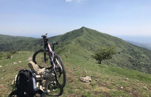 Il Tulipano - Foto 21