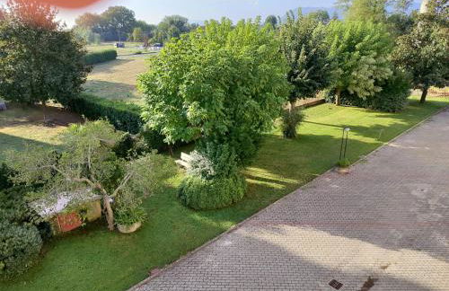 Colazione coccolosa - Foto 8