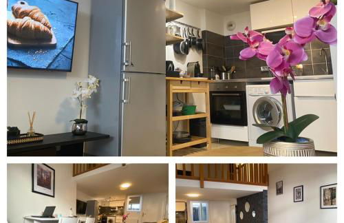 Magnifique duplex 45 m2 aux portes de Paris Metro Barbara à 30mn Expo Porte de Versailles - Foto 11