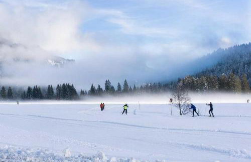 Ferienhaus Bausch - Photo 22