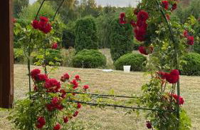 Dom z Widokiem w Rajgrodzie - Foto 27