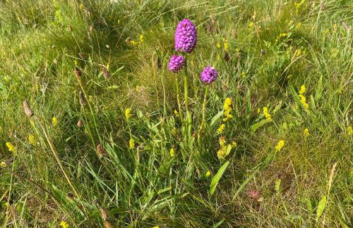 Ocean View Beach Rd - Foto 52