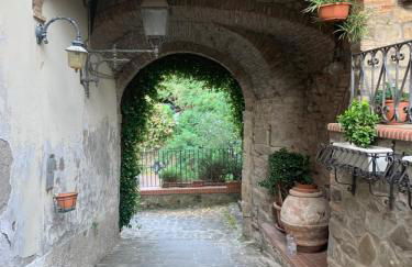 Il gatto e la volpe 1 - Foto 18