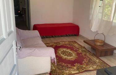 Chácara Andorinhas São Pedro SP - Foto 5