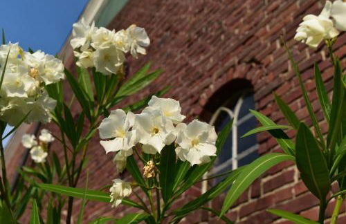 Kreativhof Lehmberg - Photo 40