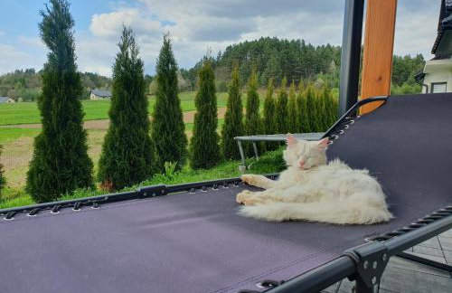 Domek Amelia -Bieszczady - Foto 12