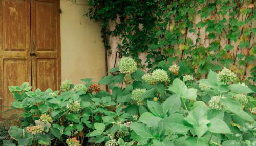 Casale Hortensia - Photo 3, Garden