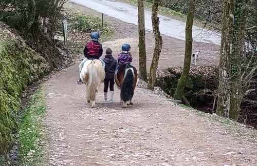 Les Gîtes de L'Isle Jourdain - Photo 66