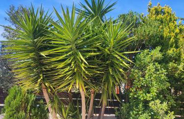 Villa Maya - Family - Photo 10