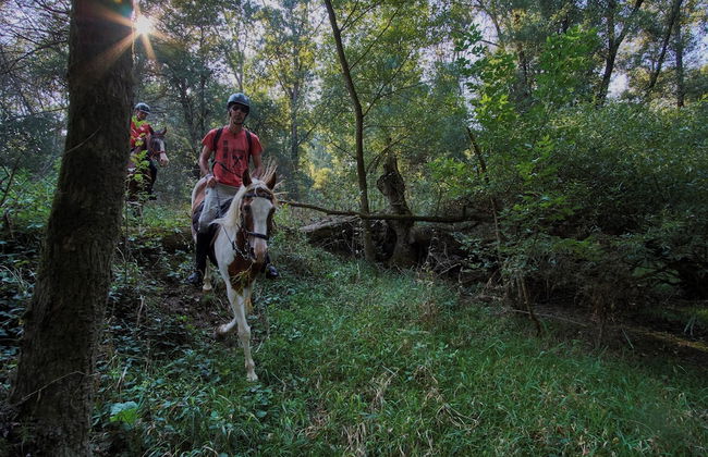 Sleeps5-wellness Spa- Hot Tub- Family Friendly - Foto 13