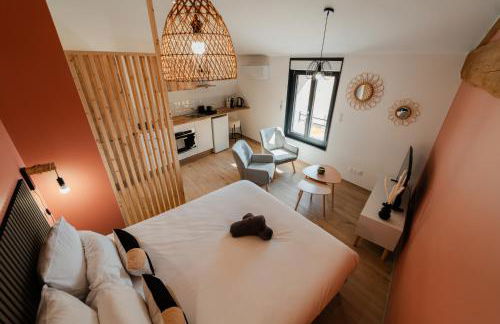 Vina Rhona - Studio de charme tout équipé entre Rhône et Vignobles de Condrieu - Foto 26