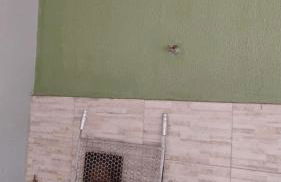 House with leisure area in Vale do Iguapó - Foto 7