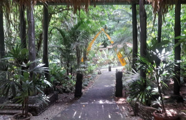 Waterfall Villas - Photo 37