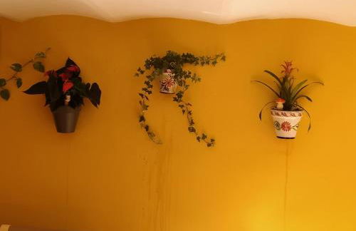 RCBCALEROS - Foto 15