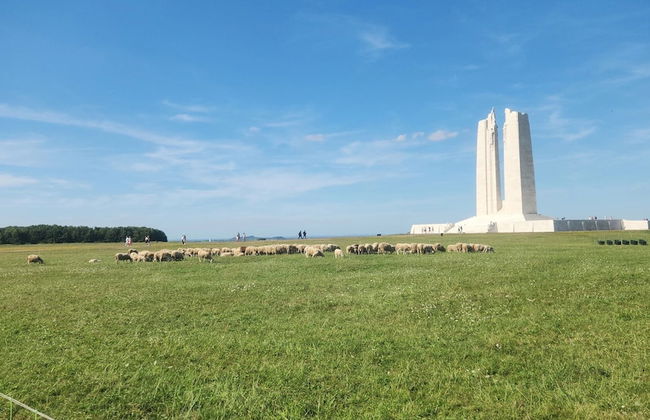 Suite Eden Spa, Appart’hôtel bien être , Patio - Foto 33