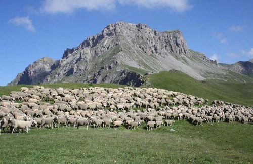 Charmant appartement cosy, terrasse proche des pistes et du centre du village - WIFI gratuit - Foto 34