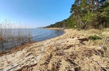 Apartamenty Pod Debem (Ferienwohnungen an der uralten Eiche) - Foto 23