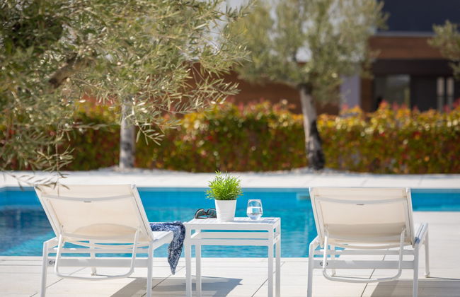 Old Olive VIII - Foto 42