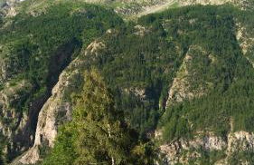 Les quatre marmottes - Photo 16