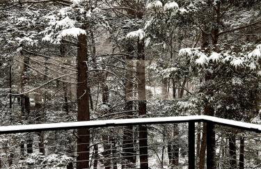 NEW cozy getaway near Mt Monadnock with hot tub - Foto 32