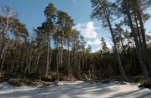 ŻAR - Dworek w Żarnowcu - Foto 38