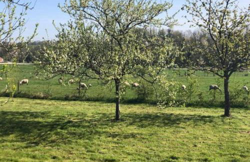 Glamping in Signy-l Abbaye - Foto 36