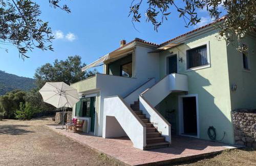 Pinelopis House, Skala Sikamineas, Molivos, Mytilene - Photo 33