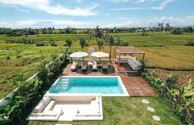 Botanique Villa & Studio - Photo 78