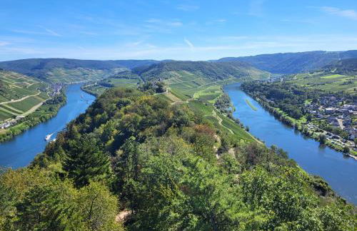 Ferienhaus Am Moselstausee - Foto 38