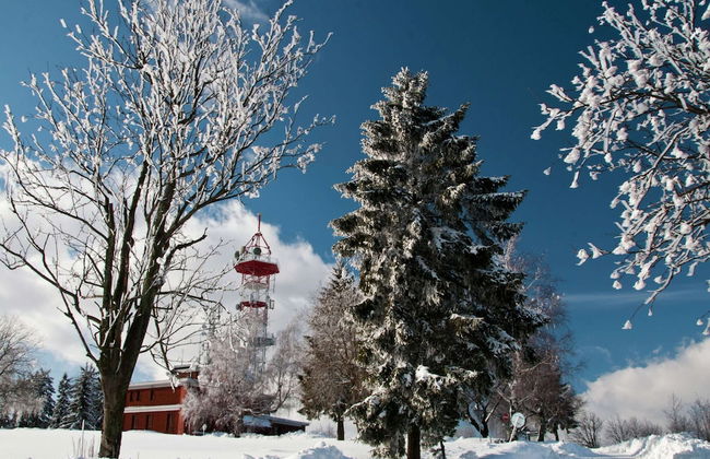 Comfortable Detached House With Large Garden - Photo 27