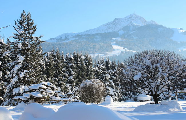 Luxury Apartment Schoenbichl - Photo 15