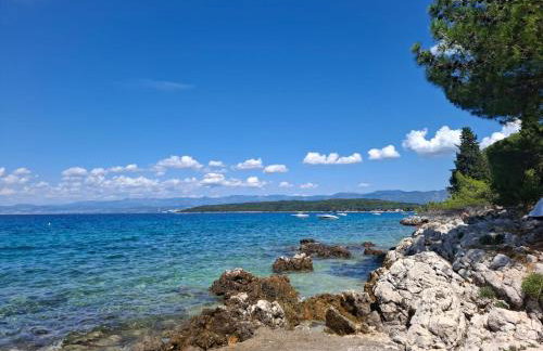 FoREST Heritage Apartment - Foto 59