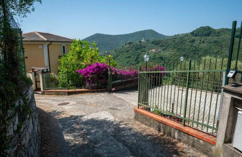 Ollie`s house - Foto 57