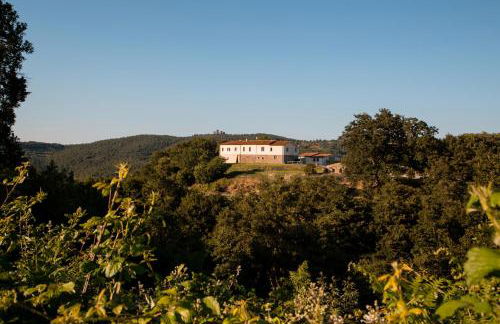 Villa A Casa di Giovanni - Foto 15