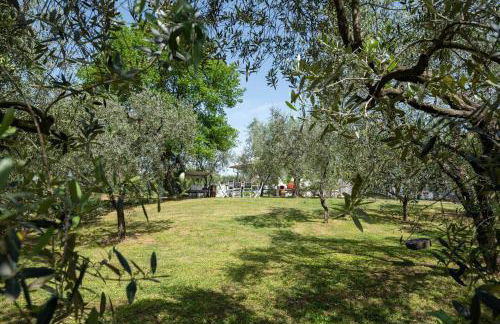 Le Cerbaie - Casa Vacanze - Foto 63