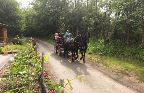 Ferienhaus Am Lutherweg - Foto 21