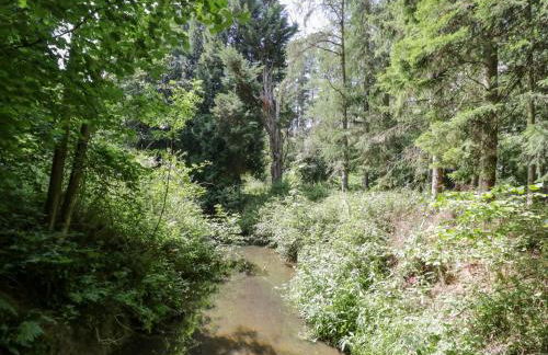 Betty's Barn - Foto 29