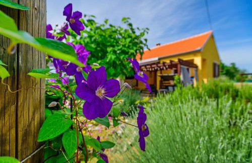 Sunny house - Foto 59