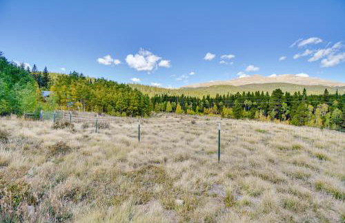 Hot Tub and Deck Cabin Near Dtwn Alma and Breck - Foto 29
