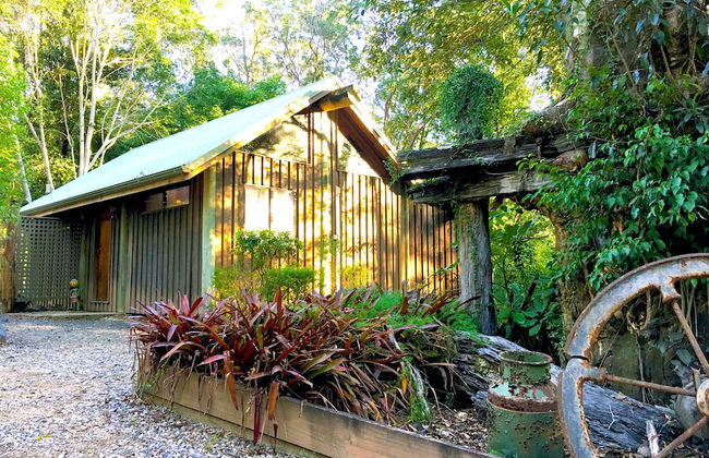 Ecostudio Fellini - Foto 5