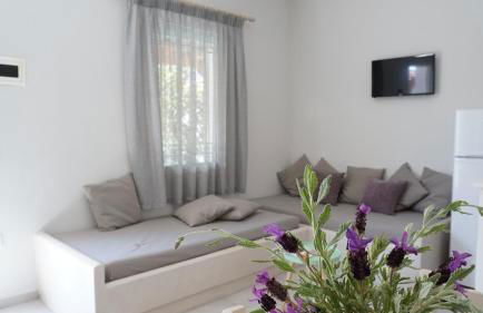 Armonia Houses - Photo 35